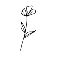 Abstract Floral Botanical Line Art Hand Drawn