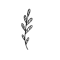 Abstract Floral Botanical illustration Doodle Hand Drawn Line Art