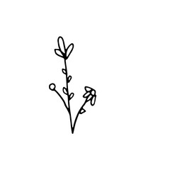 Abstract Floral Botanical illustration Doodle Hand Drawn Line Art