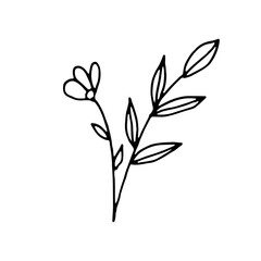 Abstract Floral Botanical illustration Doodle Hand Drawn Line Art