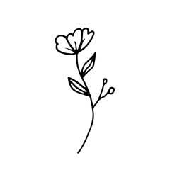 Abstract Floral Botanical illustration Doodle Hand Drawn Line Art