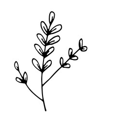 Doodle Abstract Floral Leaves Line Art Hand Drawn