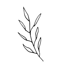 Floral Botanical Abstract Doodle Hand Drawn Line Art