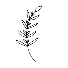 Abstract Doodle Line Art Hand Drawn Sticker Floral Botanical