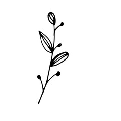 Abstract Doodle Line Art Hand Drawn Sticker Floral Botanical