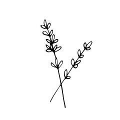 Abstract Doodle Line Art Hand Drawn Sticker Floral Botanical