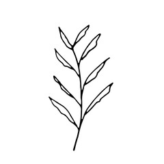 Floral Botanical Abstract Doodle Hand Drawn Line Art