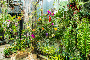 Variety of Orchid flowers at Floral Fantasy Singapore