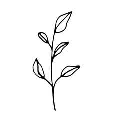 Floral Botanical Abstract Doodle Hand Drawn Line Art