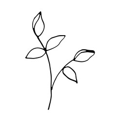 Floral Botanical Abstract Doodle Hand Drawn Line Art