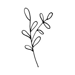 Floral Botanical Abstract Doodle Hand Drawn Line Art