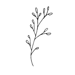 Floral Botanical Abstract Doodle Hand Drawn Line Art