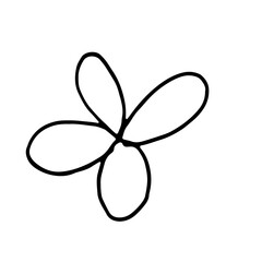 Floral Botanical Line Art Hand Drawn