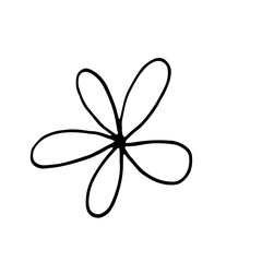 Floral Botanical Line Art Hand Drawn