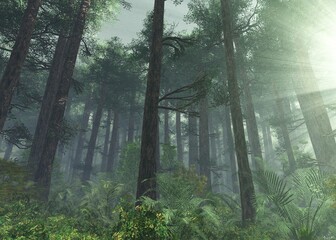 Fototapeta premium Forest in the morning in a fog in the sun, trees in a haze of light, glowing fog among the trees, 3D rendering