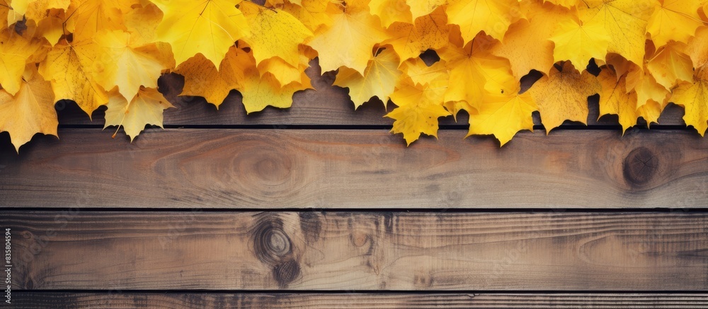 Wall mural autumn maple leaves scattered on a wooden surface, creating a picturesque natural backdrop with spac