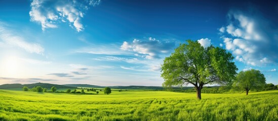 Obraz premium Scenic landscape with a tree on green grass, against a backdrop of blue skies, mountains, and the warm hues of a sunrise or sunset with copy space image.