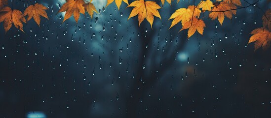 Fall season depicted with autumn leaves on a rain-streaked glass surface creating a bright abstract natural backdrop, ideal for autumnal themes with copy space image.