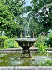 Beautiful fountain with flowing water taken in the English Garden in Battersea Park.  Pond with water flowers and lily pads.  Lush foilage in full spring bloom.