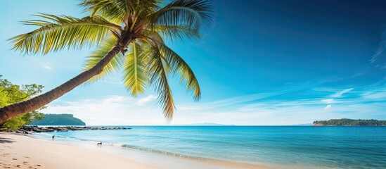 Coconut palm trees lining a sandy beach create a tropical paradise with a beautiful landscape, perfect for a copy space image.