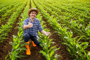 Portrait of happy farmer in his corn field.