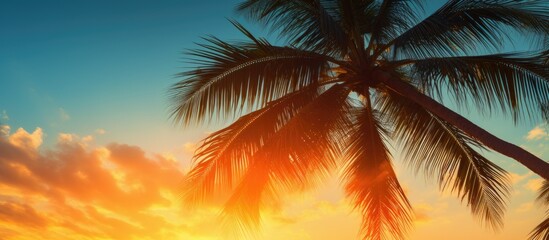 Serenity of palm tree silhouettes on the beach at sunset with a vintage touch, perfect for a copy space image.