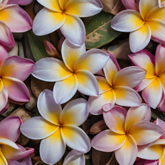 a many different colored flowers that are on the ground