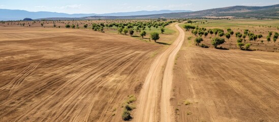 Obraz premium A country road seen from above with a panoramic aerial view showing vast landscapes and a serene atmosphere with copy space image.