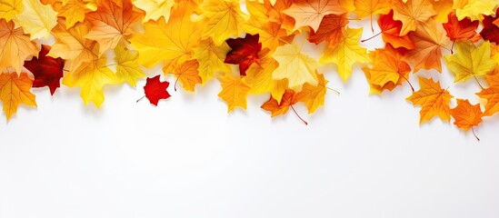 Colorful autumn leaves form a border frame on a white background with copy space image.