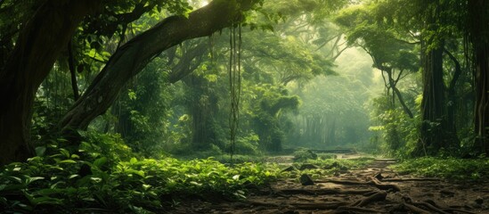 Obraz premium Exotic tropical tree with a white background perfect for design with copy space image.