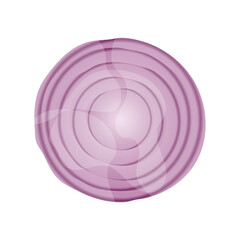 Slice of Onion Vector Illustration on White Background