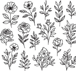 One-line drawing of a decorative, fresh blossoming rose silhouette with leaves, isolated on a white background. Hand-drawn sketch, vector stock illustration