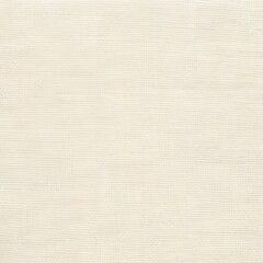 Fototapeta premium Artistic Canvas: White Primed Cotton Canvas Texture Background