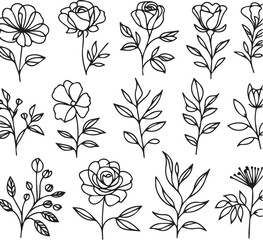 One-line drawing of a decorative, fresh blossoming rose silhouette with leaves, isolated on a white background. Hand-drawn sketch, vector stock illustration