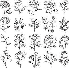 One-line drawing of a decorative, fresh blossoming rose silhouette with leaves, isolated on a white background. Hand-drawn sketch, vector stock illustration