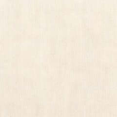 Fototapeta premium Artistic Canvas: White Primed Cotton Canvas Texture Background