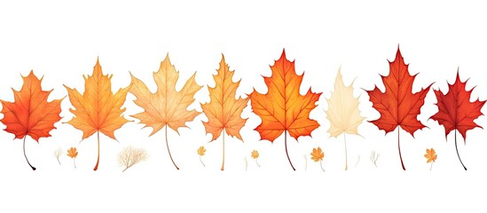 Brightly patterned autumn maple leaf displayed against white background in a banner shape, with copy space image.