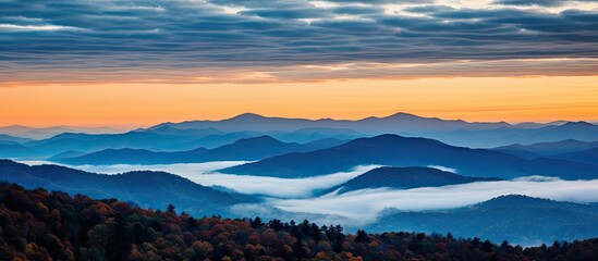Fototapeta premium Mysterious pine trees under a dark blue night sky with a copy space image.