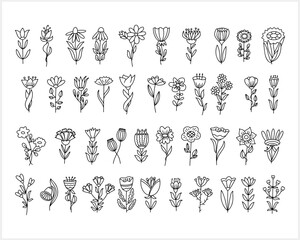 Fototapeta premium Flower clipart isolated. Cartoon sketch icon. Vector stock illustration. EPS 10