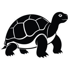 Solid color Desert Tortoise animal vector design