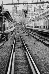 Naklejka premium 都会の中でも、静かに流れる時間を感じる場所があります。この駅もその一つ。どこか懐かしく、そして新しい気持ちにさせてくれる場所です。