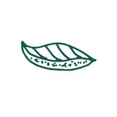 Abstract Line Art Hand Drawn Doodle 