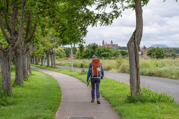 Way of St. James. Pamplona. Pilgrim on the Paseo del Arga, in the background the Cathedral