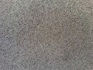 Polypropylene Foam Surface Micrography