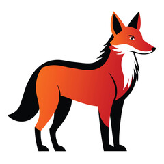 Solid color Dhole animal vector design