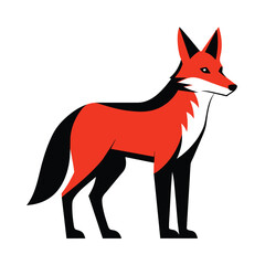 Solid color Dhole animal vector design