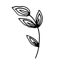 Floral Botanical leaves Line Art Hand Drawn