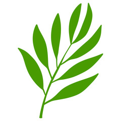 Fototapeta premium Leaf
