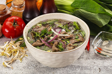 Vietnamese cuisine - Pho Bo soup with beef