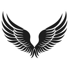 A pair of black and white wings illustrated on a white background